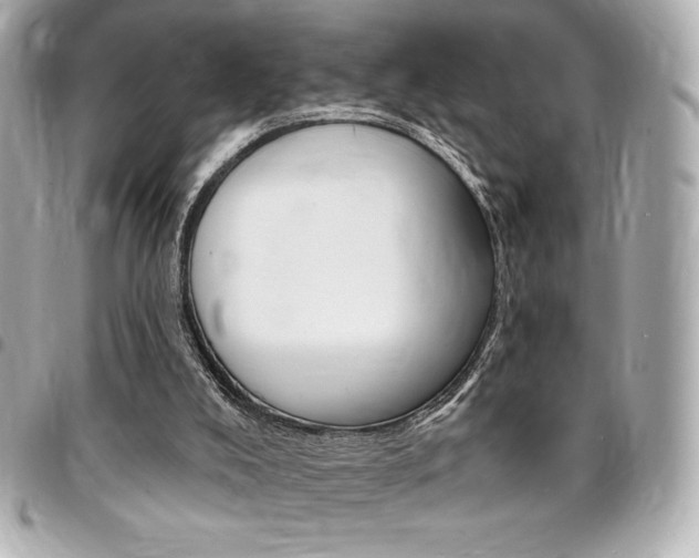 X0000095510008200712140945