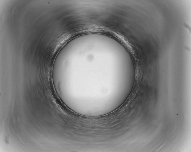 X0000095510010200712140945
