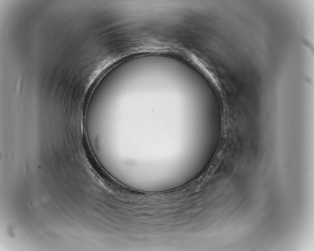 X0000095510011200712140945