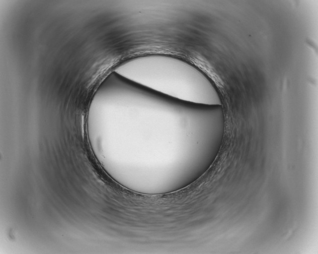 X0000095510014200712140945