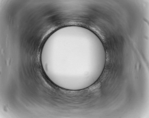 X0000095510016200712140945