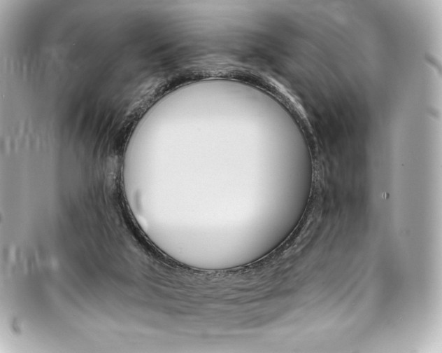 X0000095510018200712140945