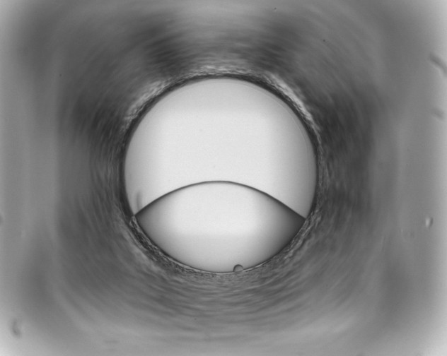 X0000095510019200712140944