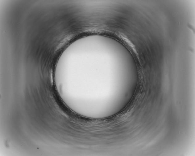X0000095510020200712140944