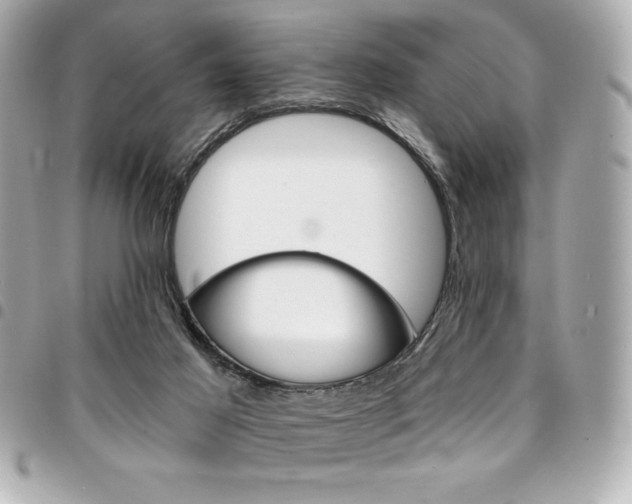 X0000095510021200712140944