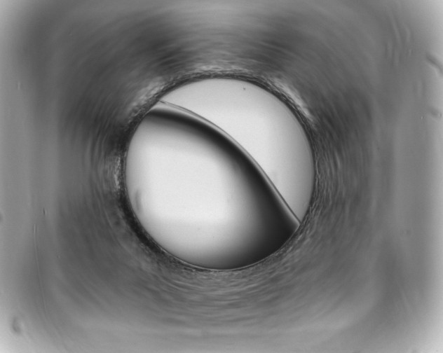 X0000095510023200712140944