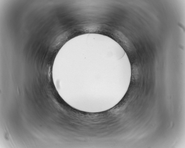 X0000095510024200712140944