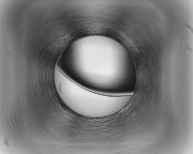 X0000095510025200712140944