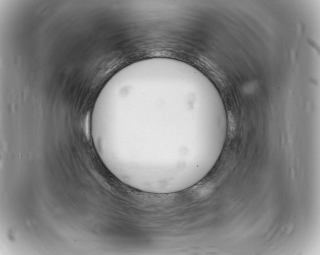 X0000095510028200712140944