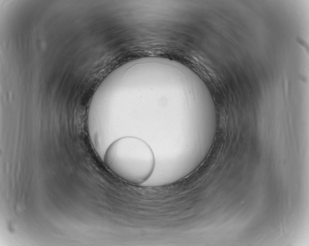 X0000095510030200712140944