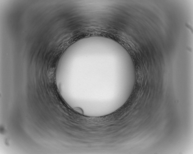 X0000095510034200712140944