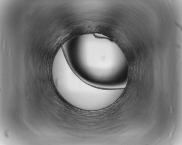 X0000095510035200712140944