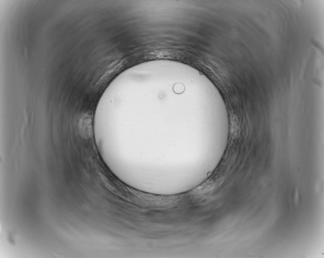 X0000095510036200712140944