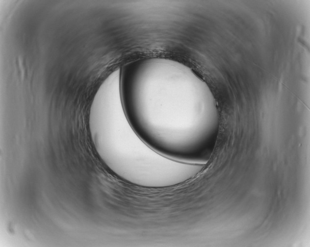 X0000095510037200712140944
