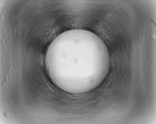 X0000095510038200712140944