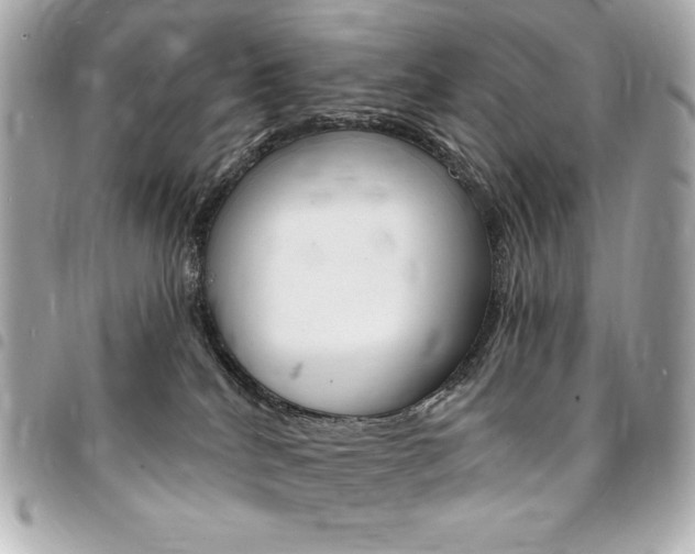X0000095510040200712140944