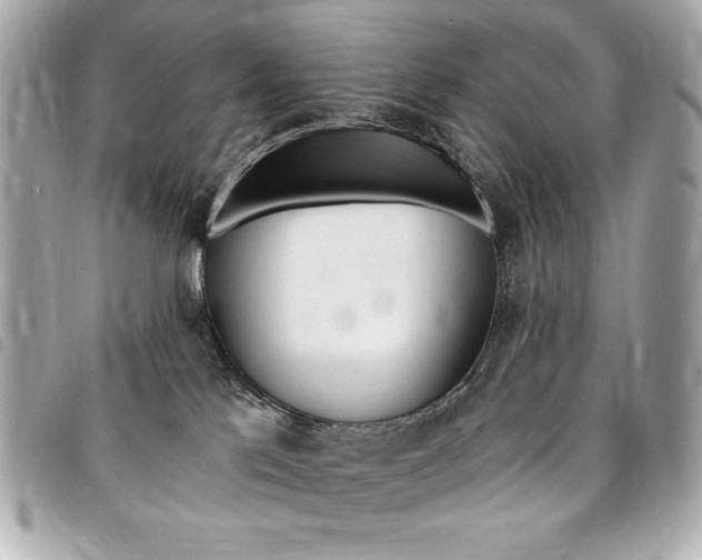 X0000095510041200712140944