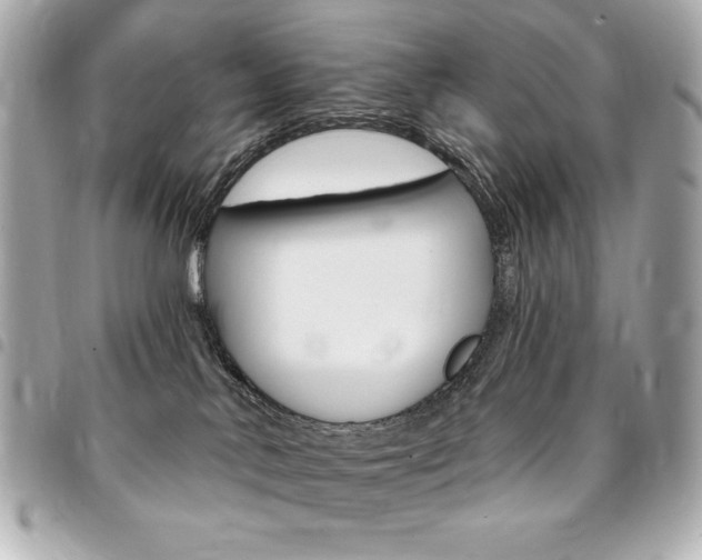 X0000095510042200712140944