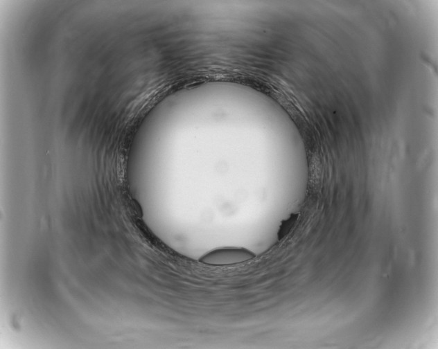 X0000095510043200712140944