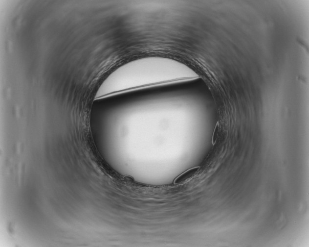 X0000095510044200712140944