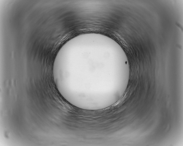 X0000095510045200712140944