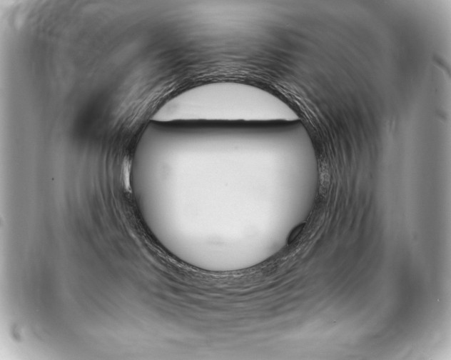 X0000095510046200712140944