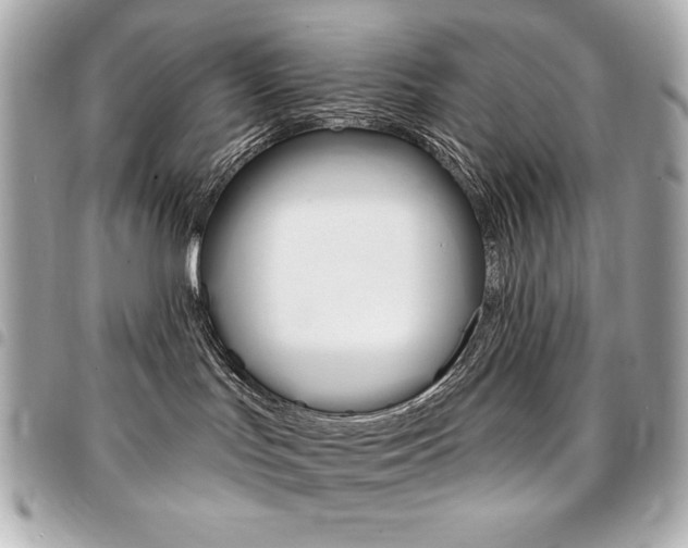 X0000095510047200712140944