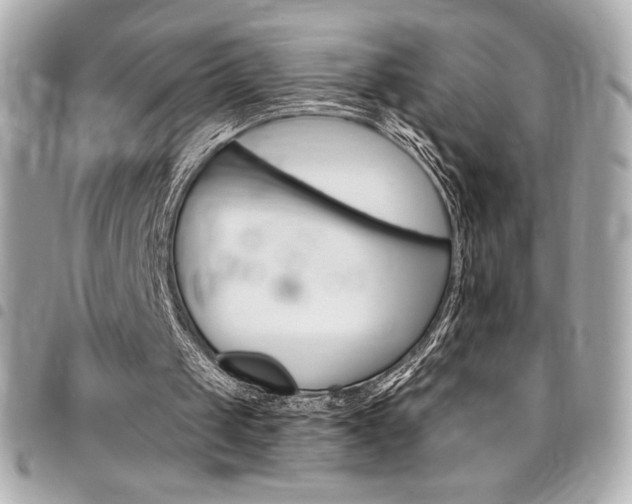X0000095510049200712140943
