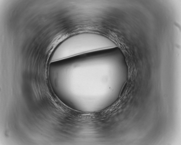 X0000095510050200712140943