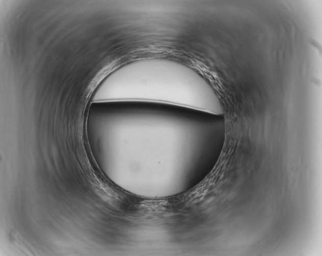 X0000095510051200712140943