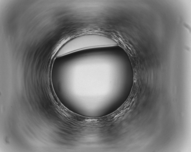 X0000095510052200712140943