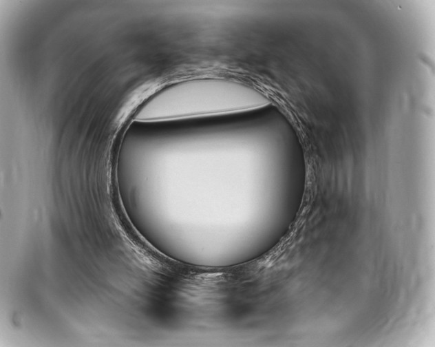 X0000095510054200712140944