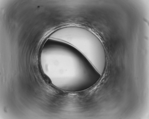 X0000095510055200712140944