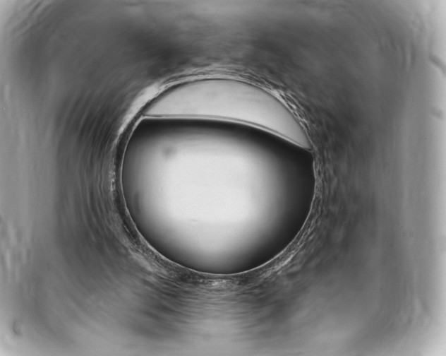 X0000095510056200712140944