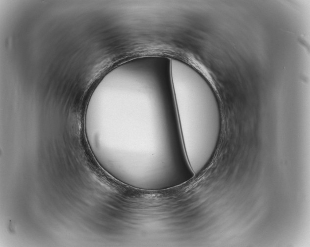 X0000095510059200712140944