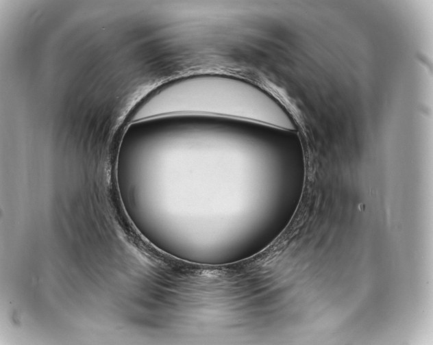 X0000095510060200712140944