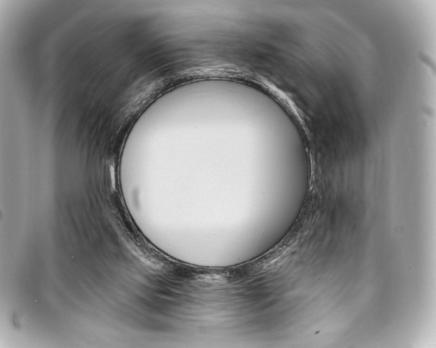 X0000095510061200712140944