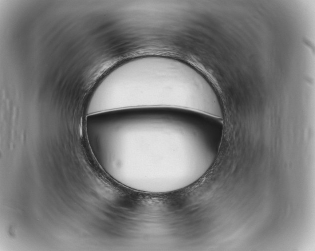 X0000095510062200712140944