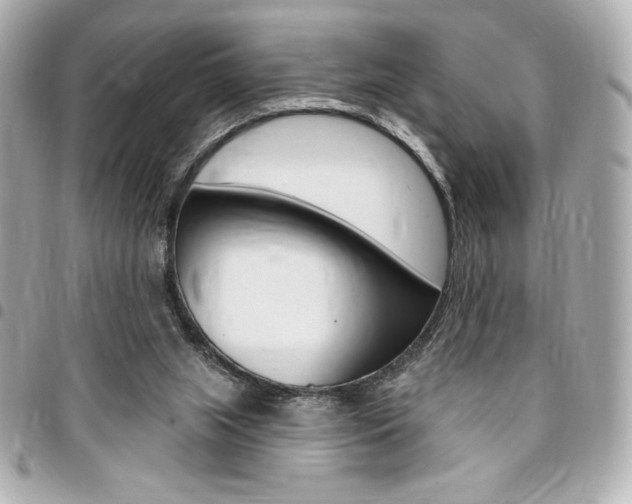 X0000095510063200712140944