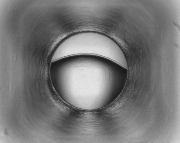 X0000095510064200712140944