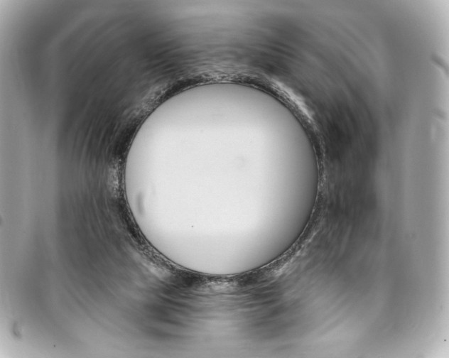 X0000095510065200712140944