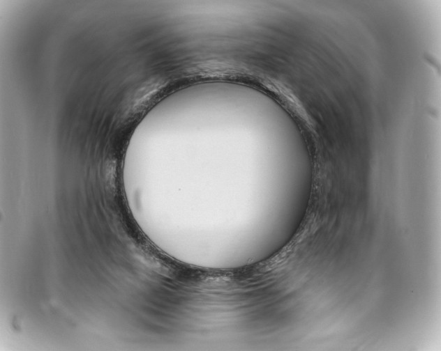 X0000095510066200712140944