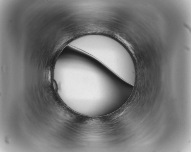 X0000095510067200712140944