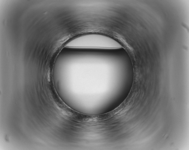 X0000095510068200712140944