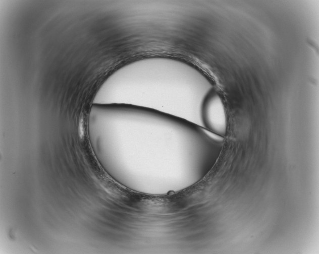 X0000095510069200712140944