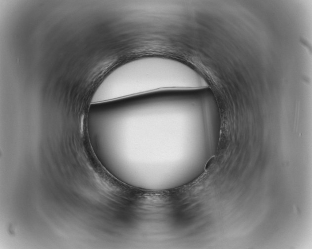 X0000095510070200712140944