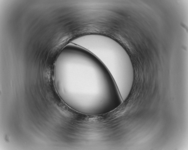 X0000095510072200712140944