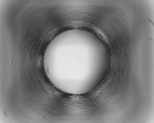 X0000095510073200712140944