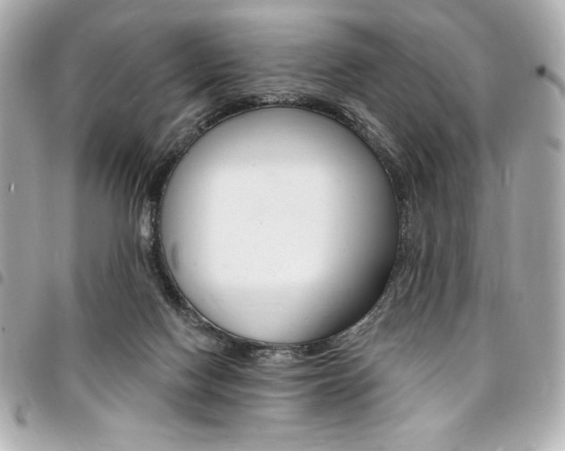 X0000095510074200712140944
