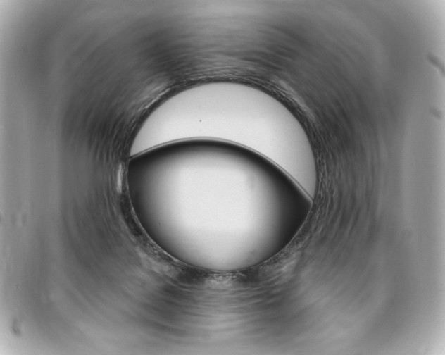 X0000095510076200712140944